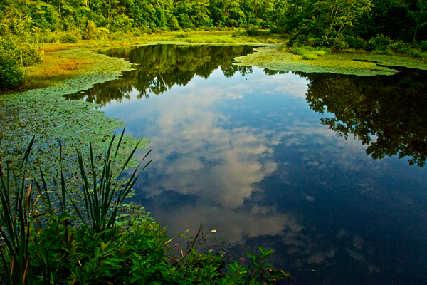 Photo Heaven on Earth by Christine A. Lang